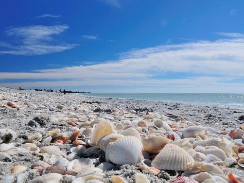 sanibel